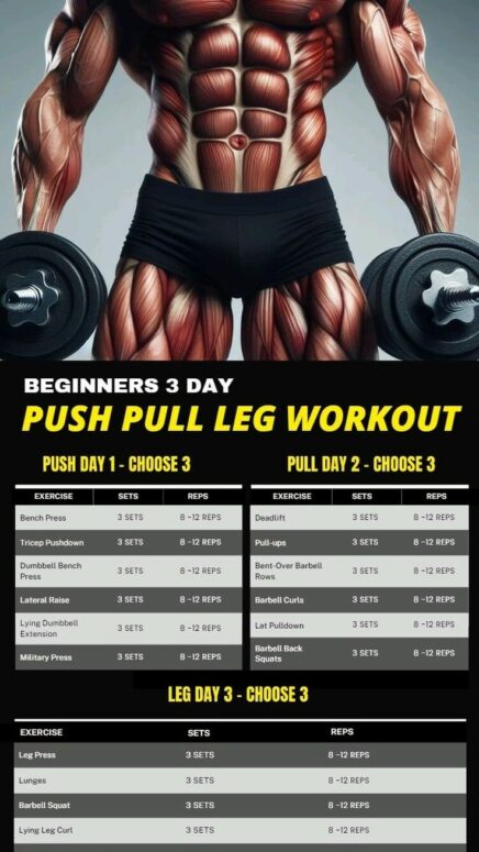 Lista de rotina Push Pull Legs para iniciantes